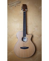 Tanglewood Discovery SFCE PW